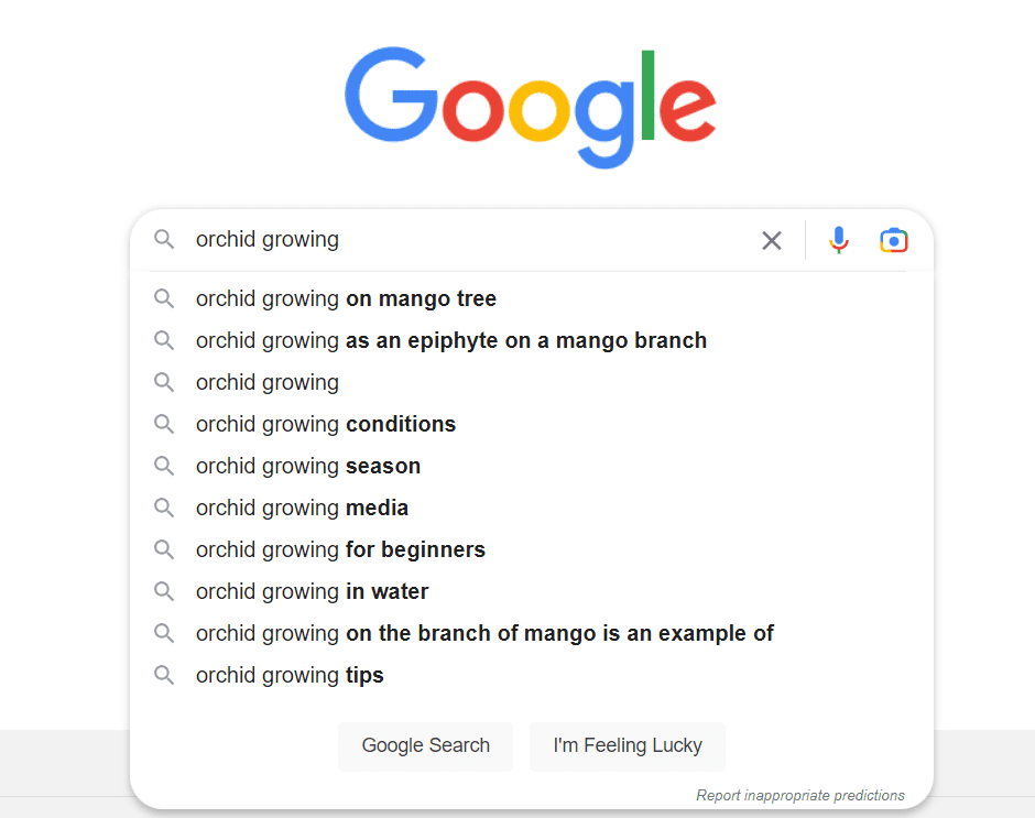 SEO 전략에 도움이 되는 Google 검색 자동 완성 기능