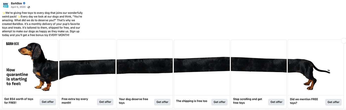 BarkBox 캐러셀 광고