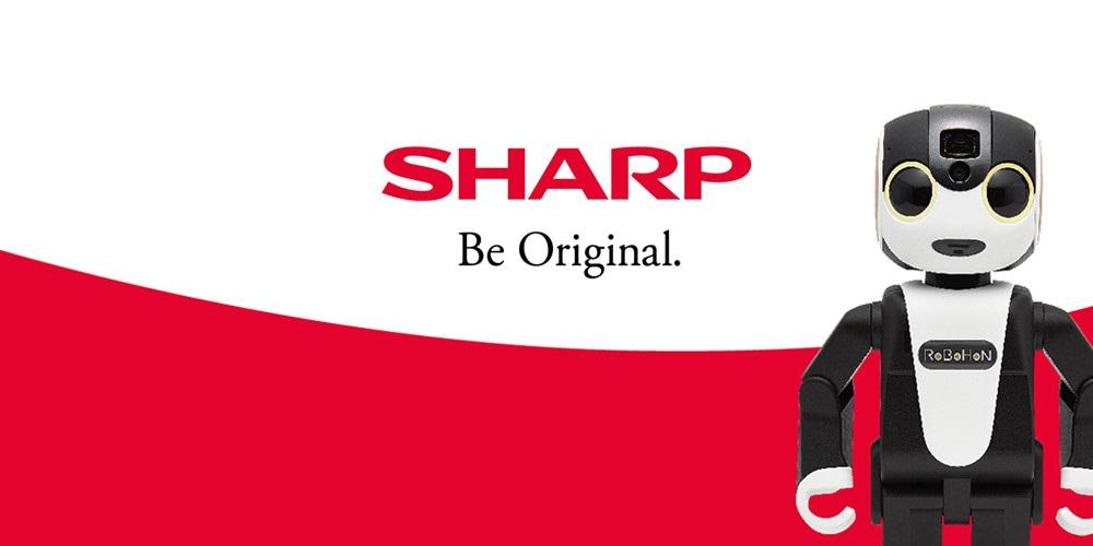 シャープヨーロッパ法-RFPについて
