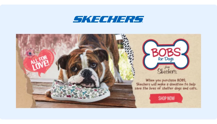 Skechers x Bobs 将收入捐给动物收容所