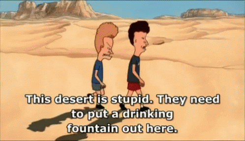 The animated brothers Beavis and Butthead walking through a barren desert wasteland moaning that 'This desert is stupid. They need to put a drinking fountain out here.'