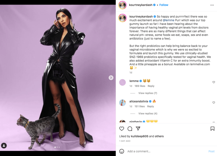Kourtney Kardashian posa con un gato para la asociación Lemme