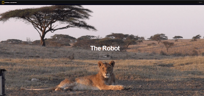 Exemple de contenu interactif : National Geographic