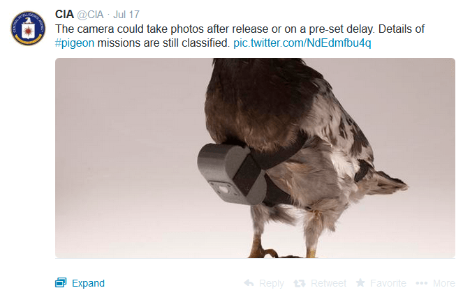 CIA tweet'leri
