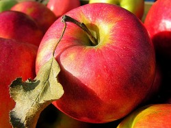 AppleWithLeaf