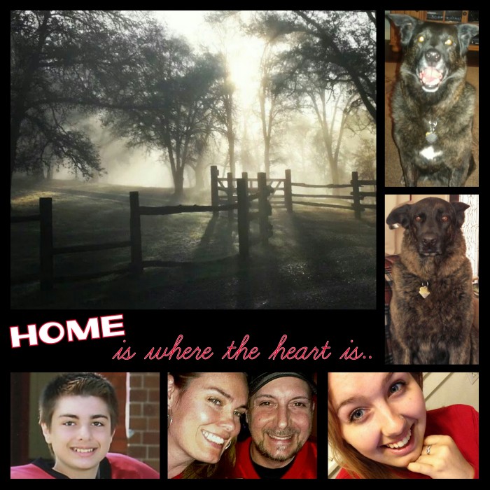 PhotoGrid_HomeHeart.jAlicia Castorina.pg