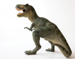 Un dinosaure Tyrannosaurus Rex avec des mâchoires béantes