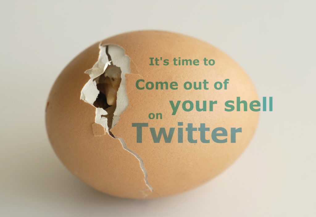 นก-ฟัก-ไข่-Twitter-come-out-shell