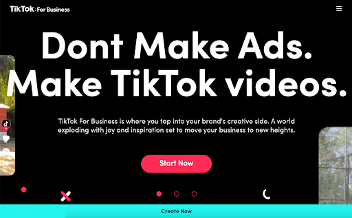 tiktok reklamları