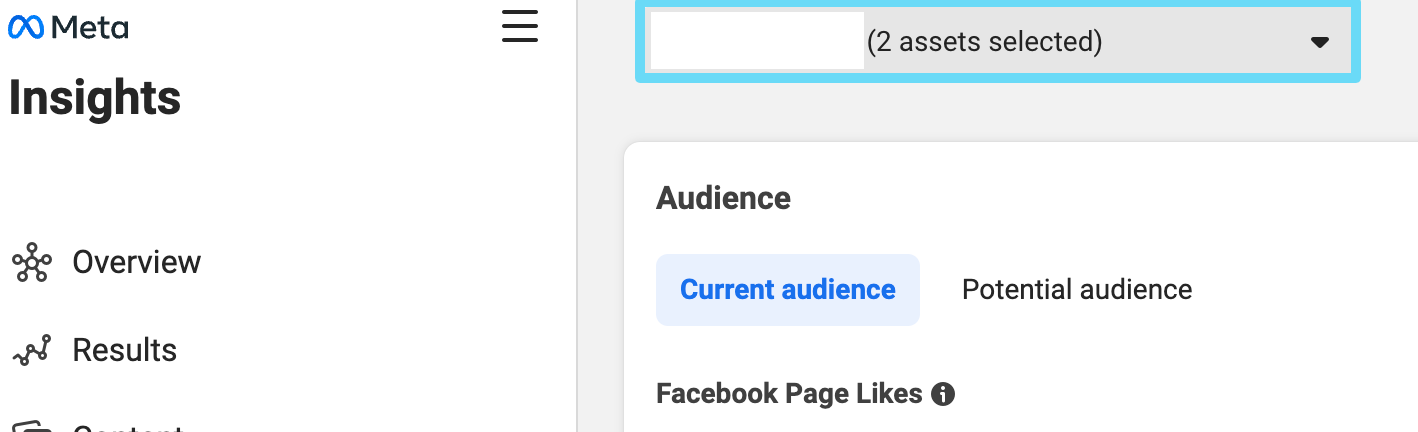 Seleccionar activos dentro de Facebook Insights