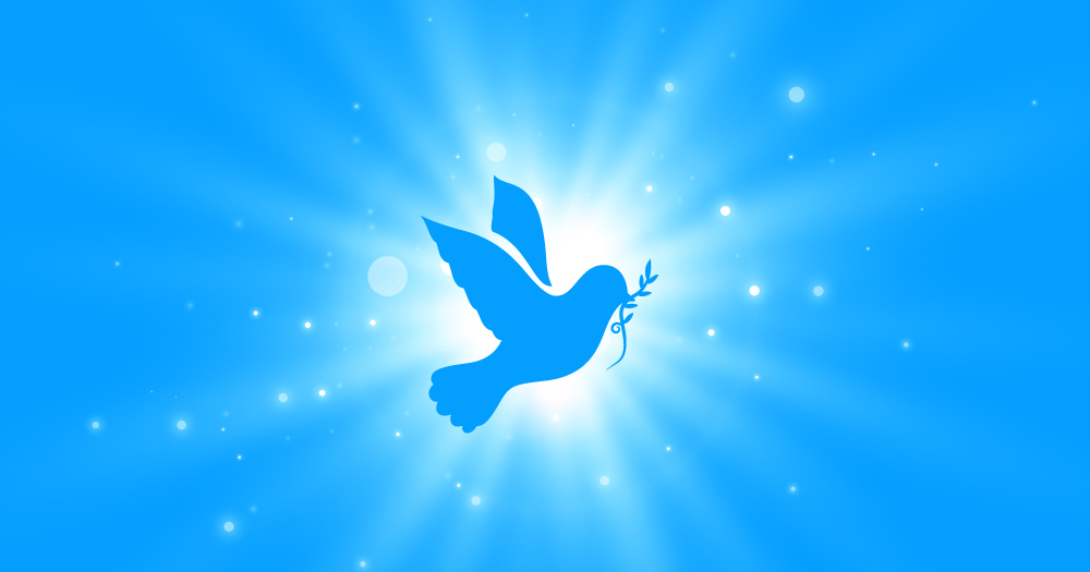 ilustrasi burung merpati
