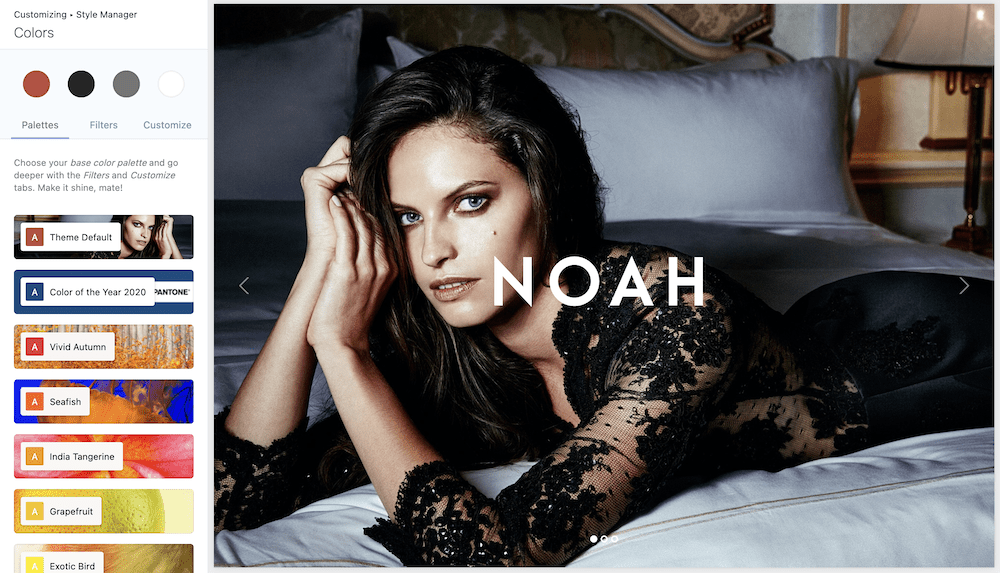 Noah WordPress fotoğrafçılık teması.