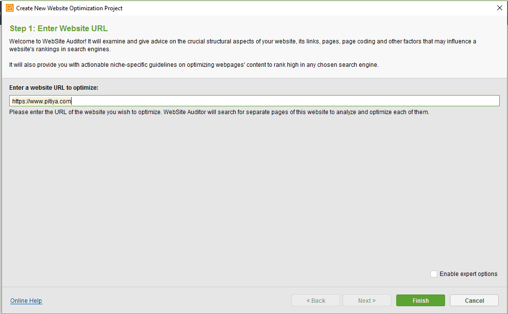 create-project-website-auditor