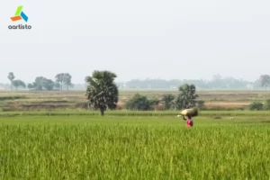 Kisan Diwas