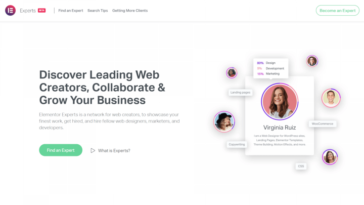 elementor-experts-program