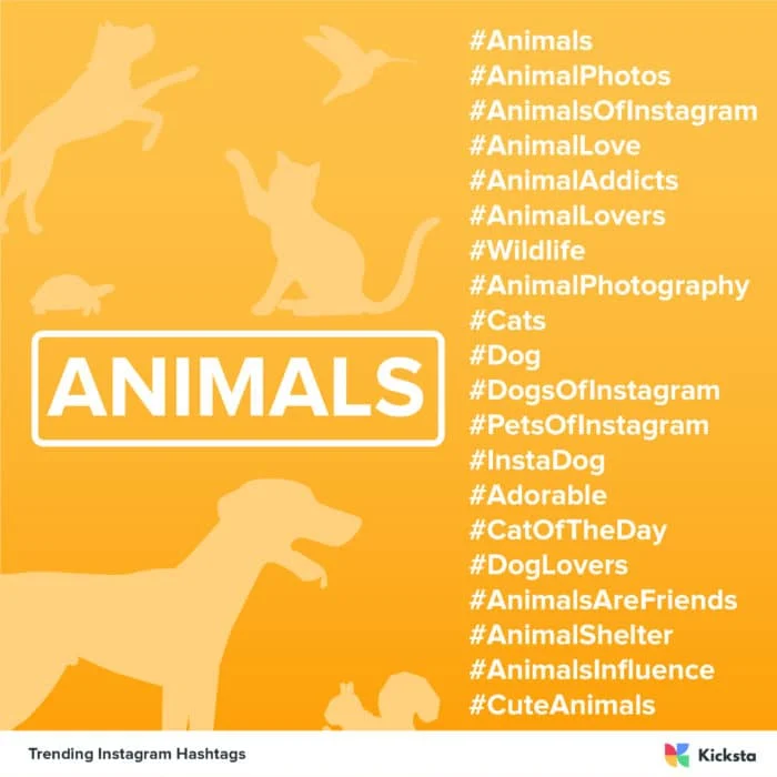 tableau des hashtags d'animaux