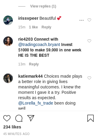 偽の Instagram フォロワーのコメント