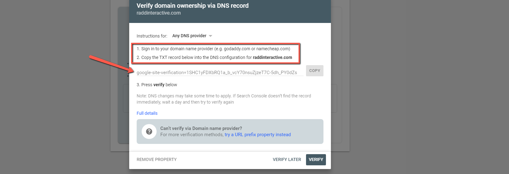 设置 Google Search Console 域时的 DNS 验证菜单示例
