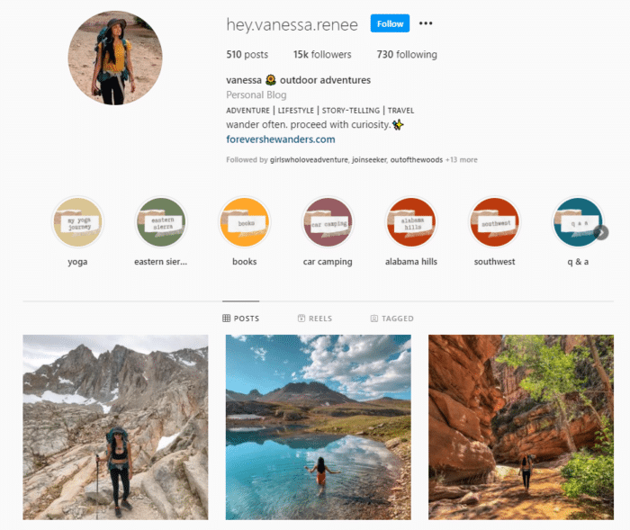 immagine del profilo instagram sul marchio