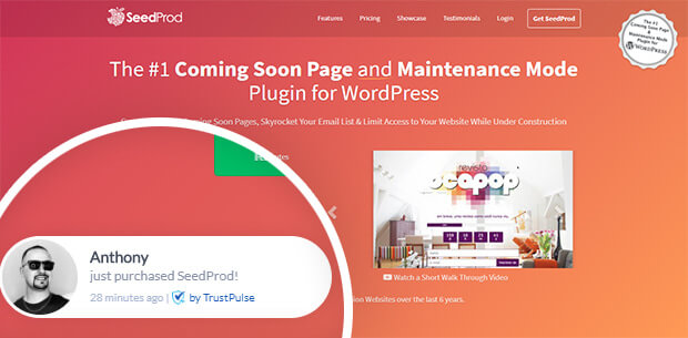 Bukti sosial SeedProd