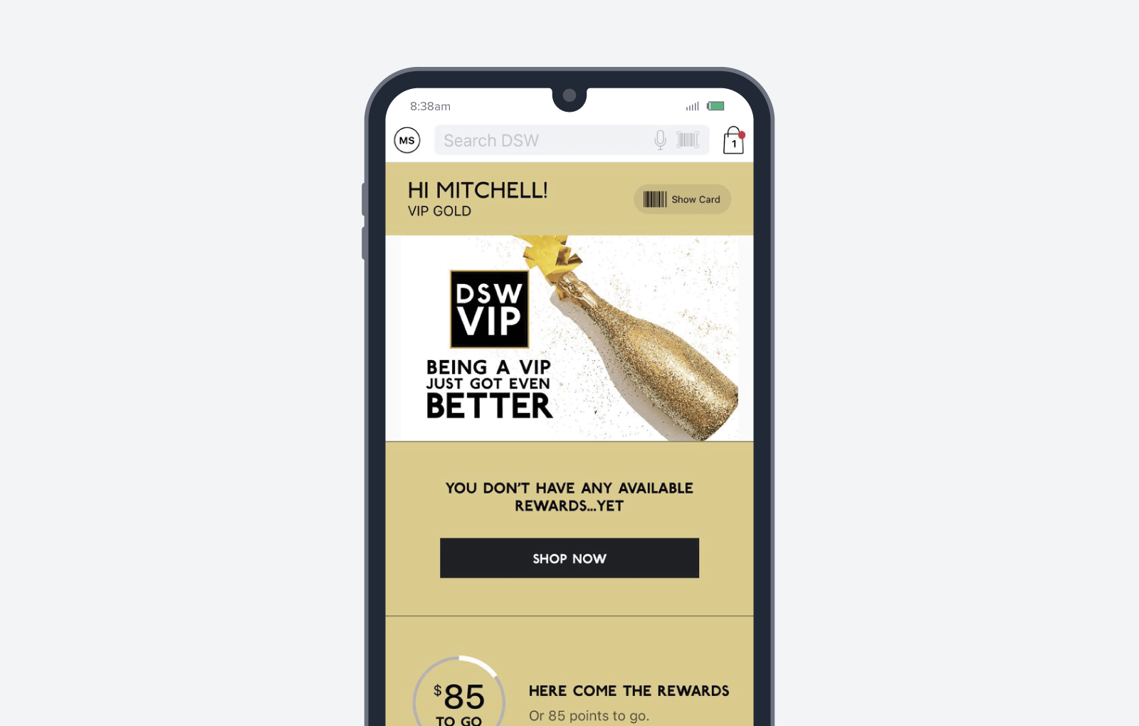 DSW VIP 忠诚度计划