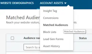 linkedin pemirsa yang cocok