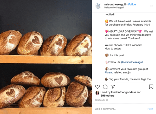 Post virale di Instagram di Nelson the Seagull con giveaway di pagnotte