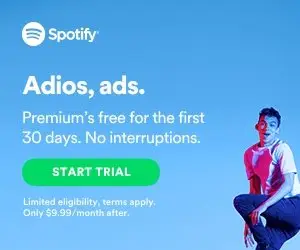 谷歌展示网络示例 - Spotify