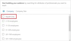 LinkedIn广告公司规模