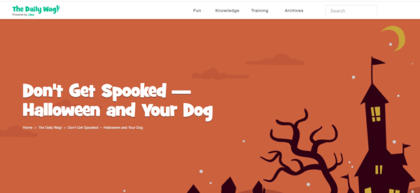 Blog-Post-The-Daily-Wag