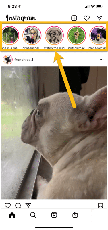 Instagram