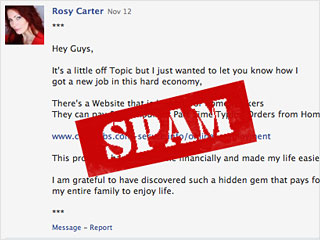 comentariu-spam