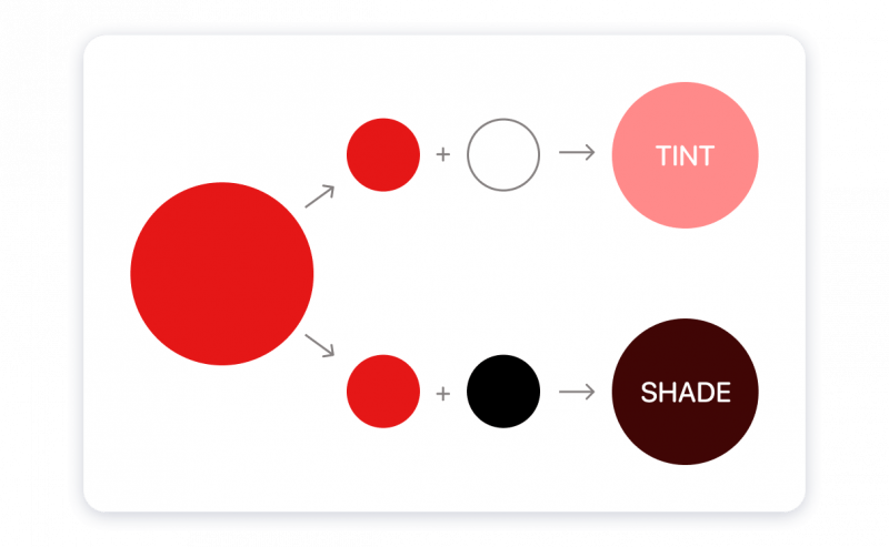 nuansa warna dan tints