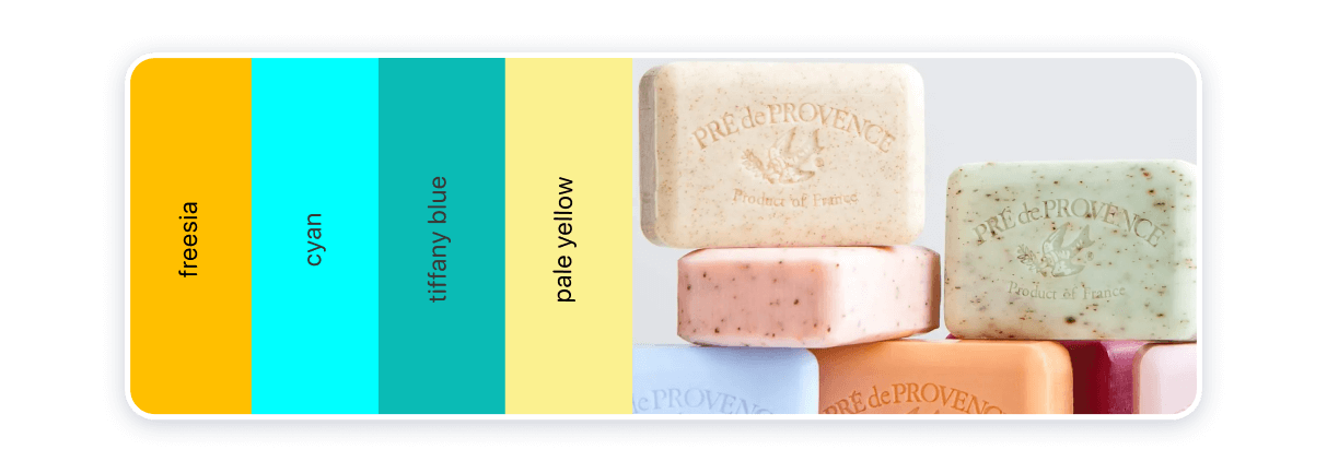 color_pallet brand color pallet example