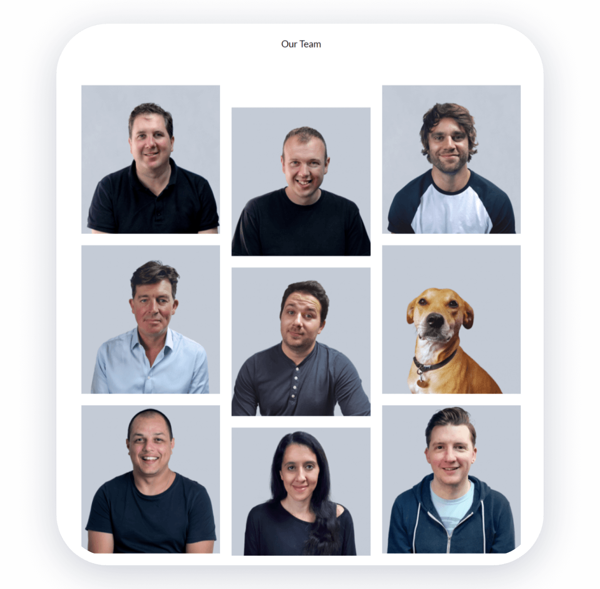 meet the team