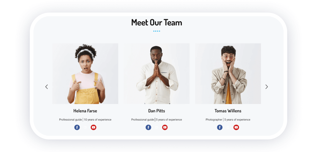 meet our team template