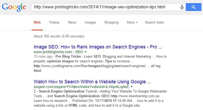 Halaman web yang diindeks Indexed web page in google serp
