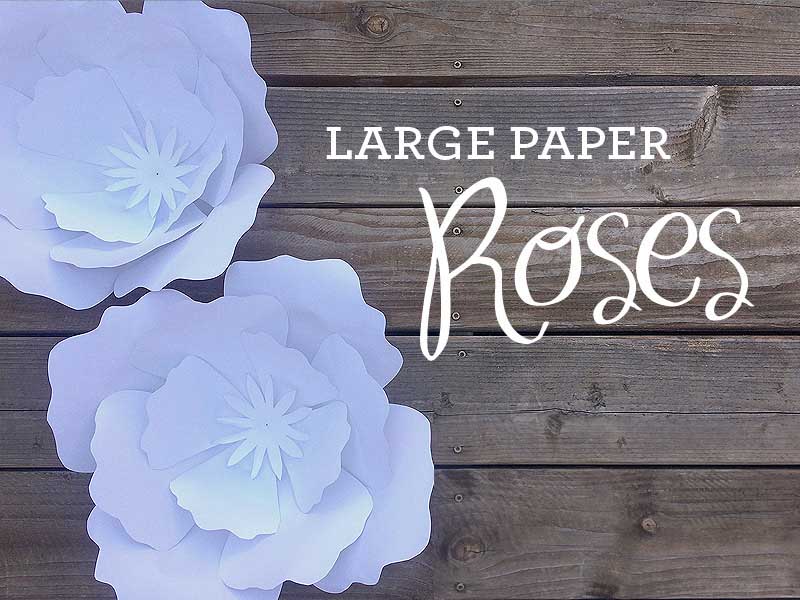 disegno cricut gratuito