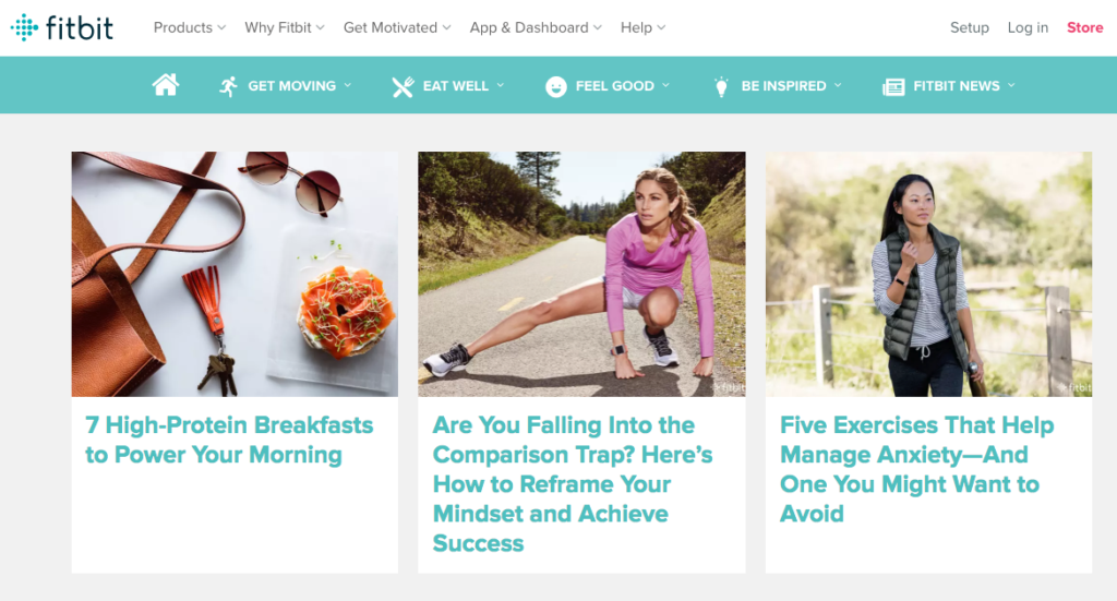 Schermata del blog Fitbit
