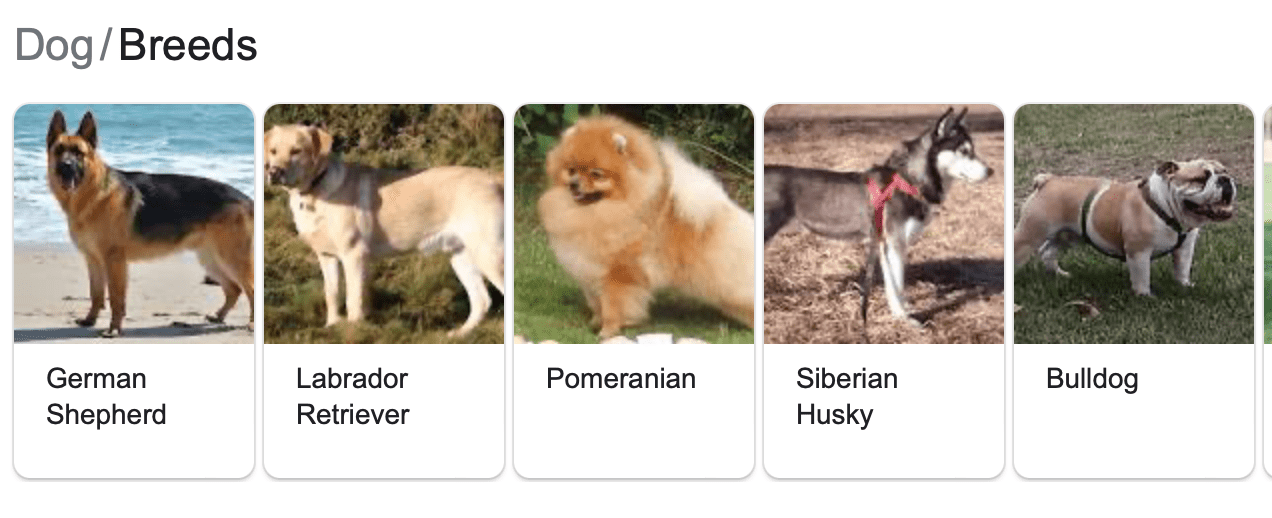 resultados de google visual serp para perros