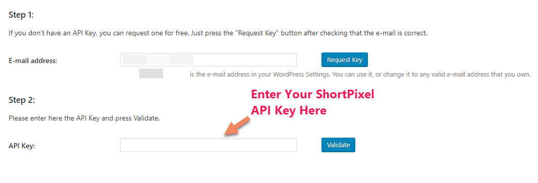 enter shorpixel api key wordpress