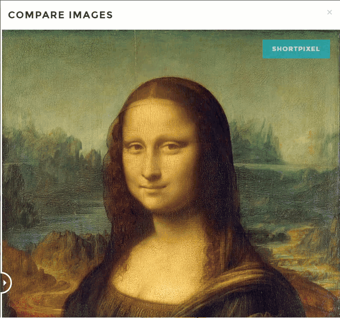 优化前后的蒙娜丽莎绘画 mona-lisa-image-optimized-comparison