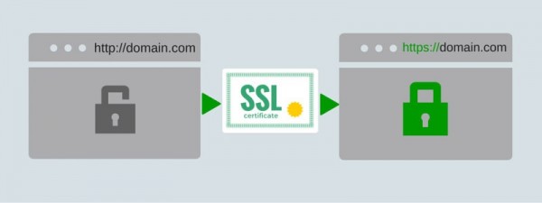 SSL 인증서를 얻는 방법