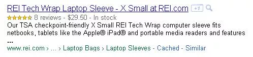 REI検索結果、Google