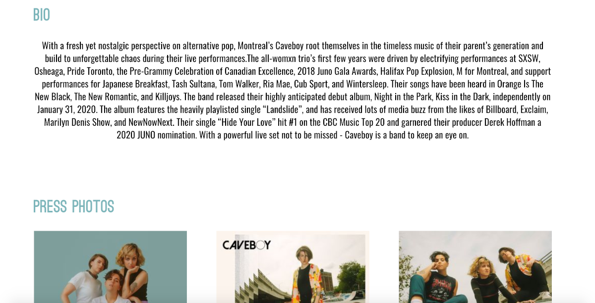 ロックバンドのウェブサイトを構築する方法：Caveboy