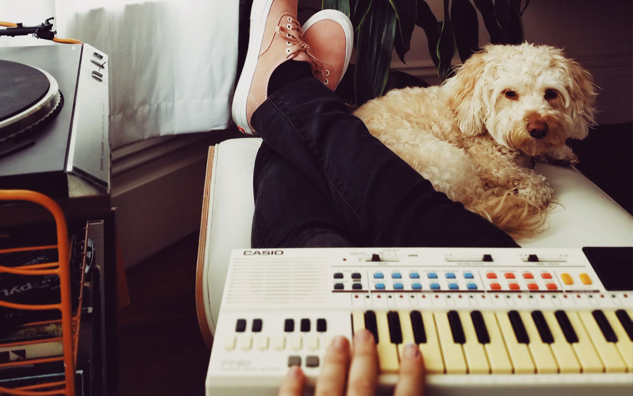 Wellness- und Selbstpflegetipps für Musiker: Zeit mit Tieren verbringen