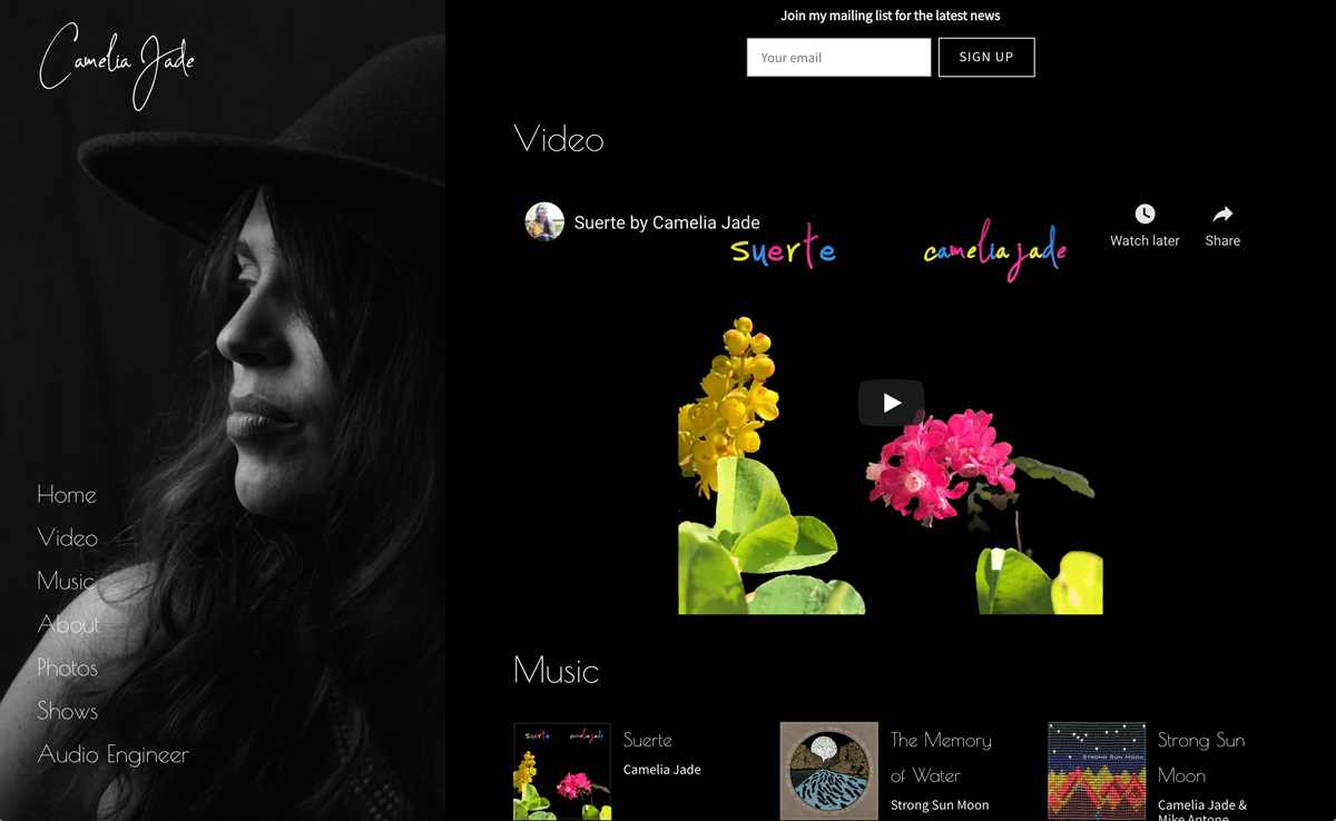 Las 5 mejores plantillas de sitios web para cantautores