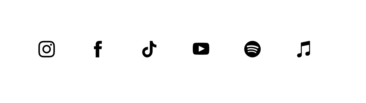 SEO per musicisti: si parte con Il viaggio dei fan
