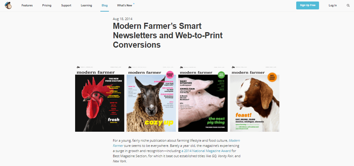 mailchimp metin yazarlığı örneği