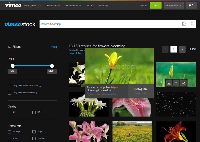 Vimeo Stock - 鮮花盛開